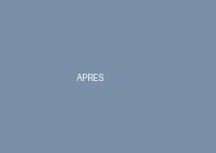 Toiture ardoise, maison de maître — après